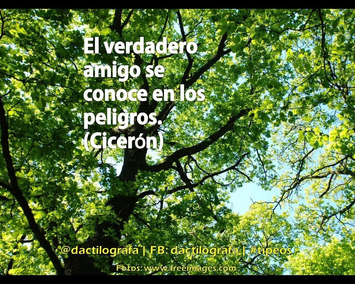 ciencia
