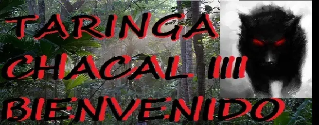 Increible, los caballos más bellos del mundo