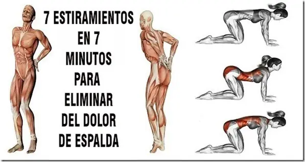 Elimina el dolor de espalda en 7 min. con estos 7 ejercicios