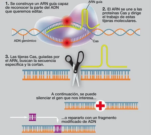 descubrimientos cientificos