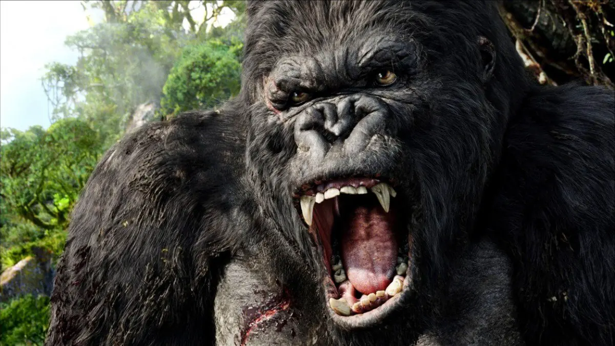 Descubren la causa de extinción del autentico King Kong