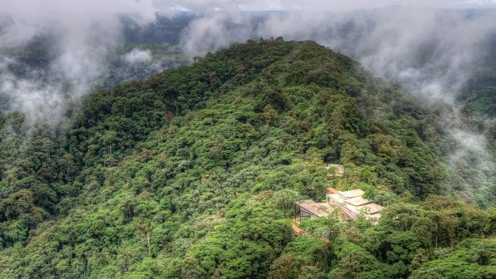 Mashpi Lodge, hotel ecuatoriano que logró salvar un bosque