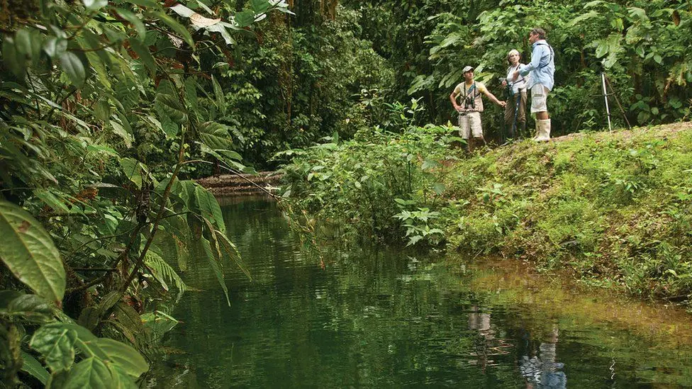 Mashpi Lodge, hotel ecuatoriano que logró salvar un bosque