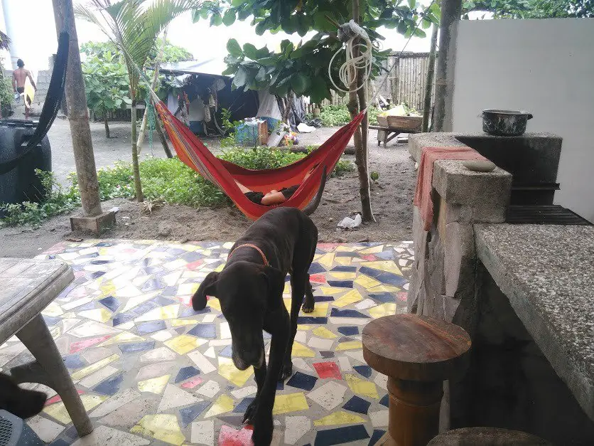 paises
