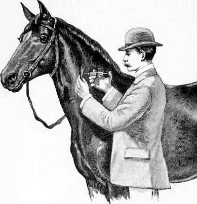 venenosa