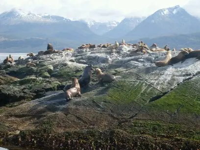 patagonia patagonia
