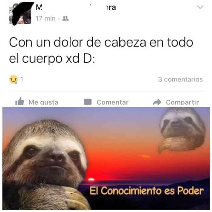 Reir