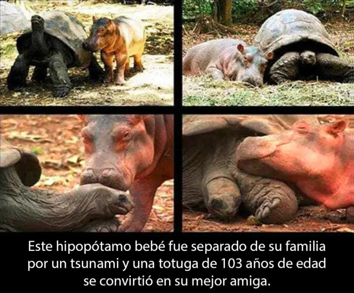 pasaron