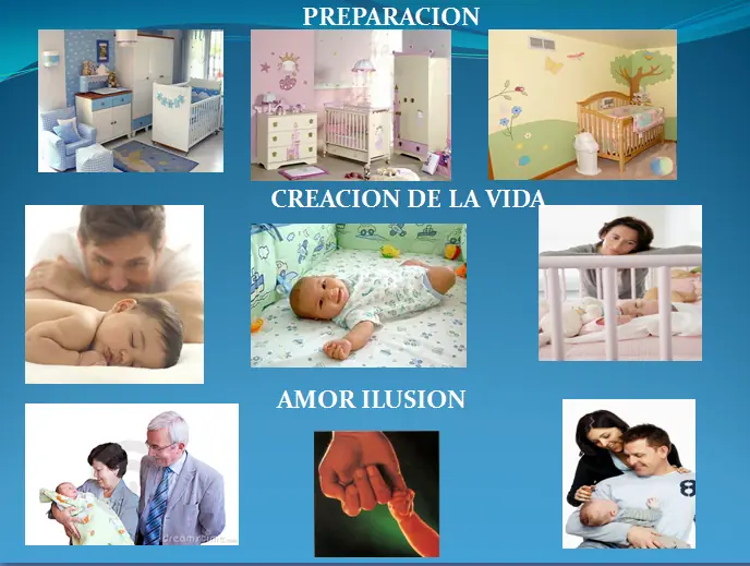 la creacion