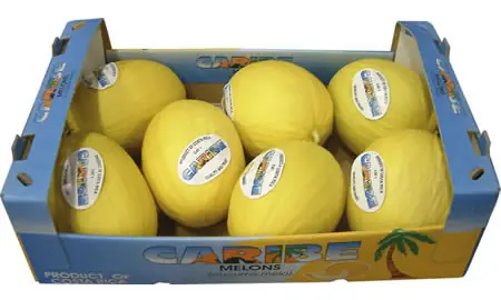 melon
