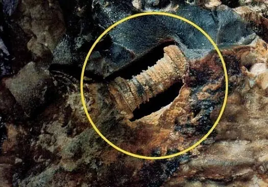 encuentran Tornillo 300 millones de años