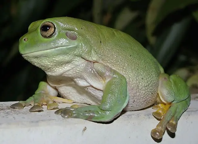 poderes