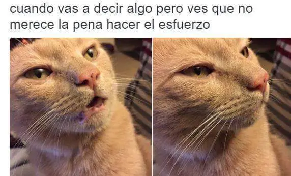 imagenes