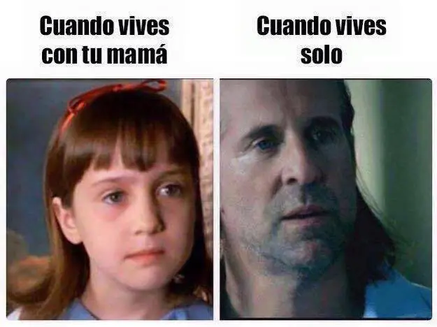 Imagenes de Humor para un sabado por la tarde