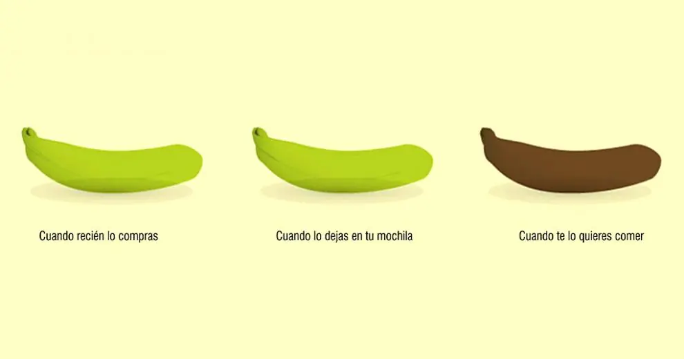 vida