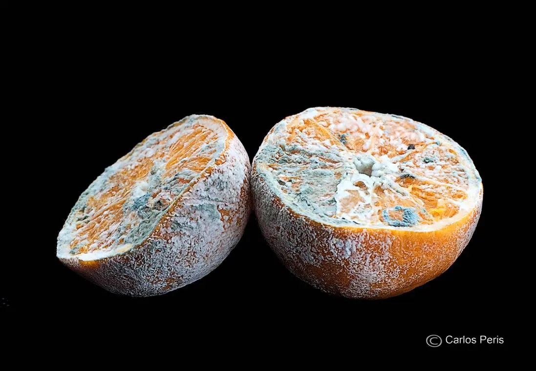 16 Curiosidades de la química que vives día a día