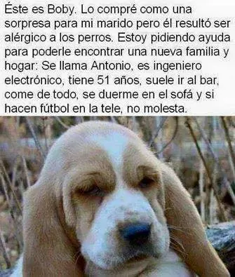 humor