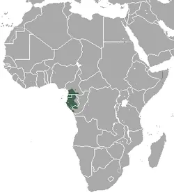 salvaje