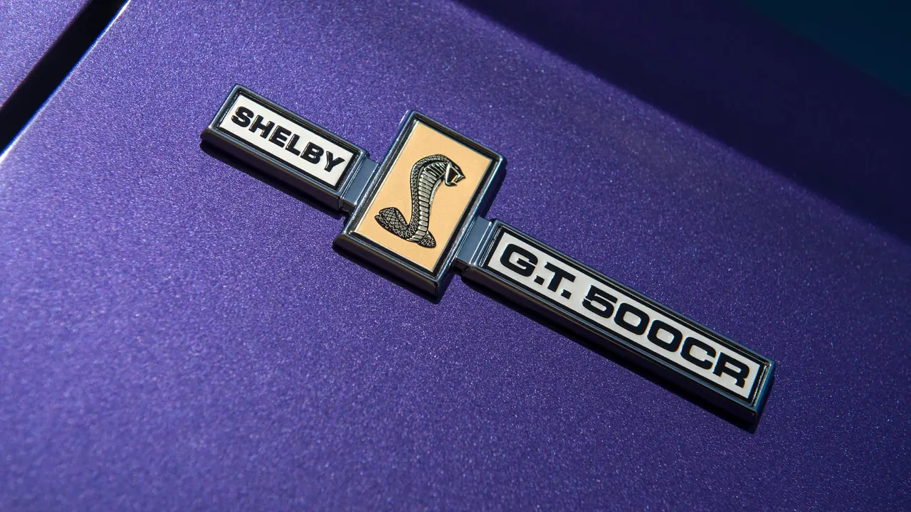 shelby shelby