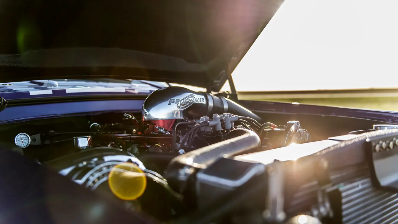 mustang mustang
