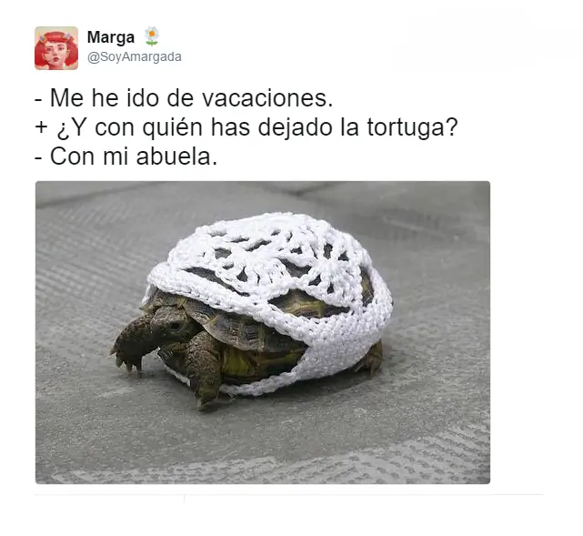 Pero mirate estas imagenes de Humor papa