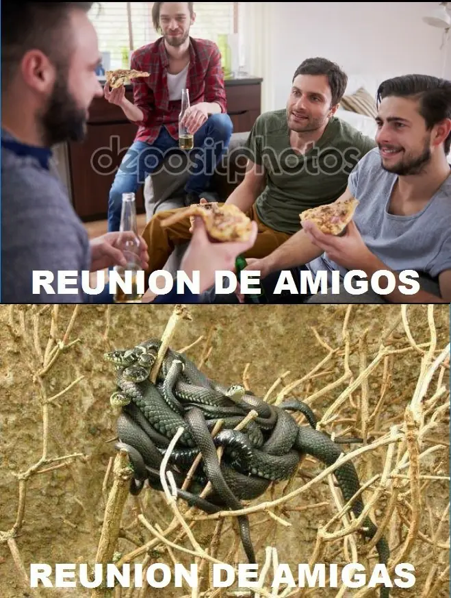 humor