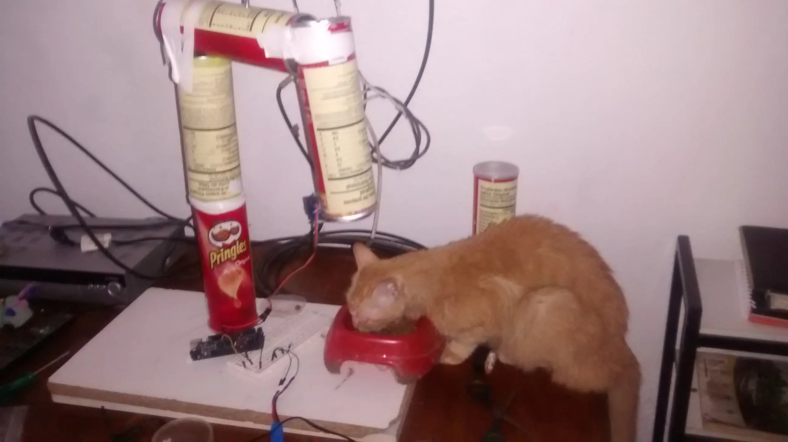 Me hice un comedero para gatos y te lo muestro