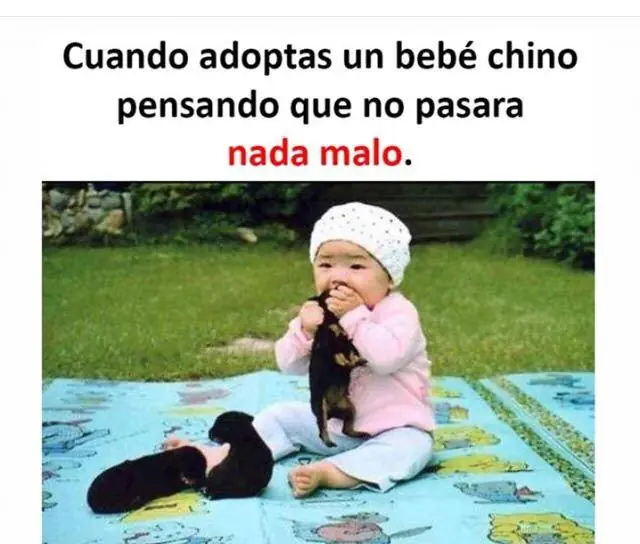 Pero mirate estas imagenes de Humor papa