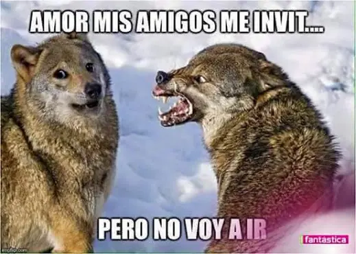 humor