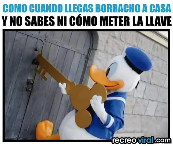 fotografias