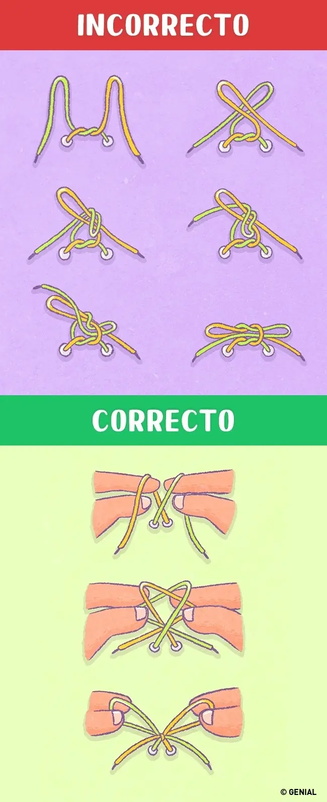 Vida cotidiana