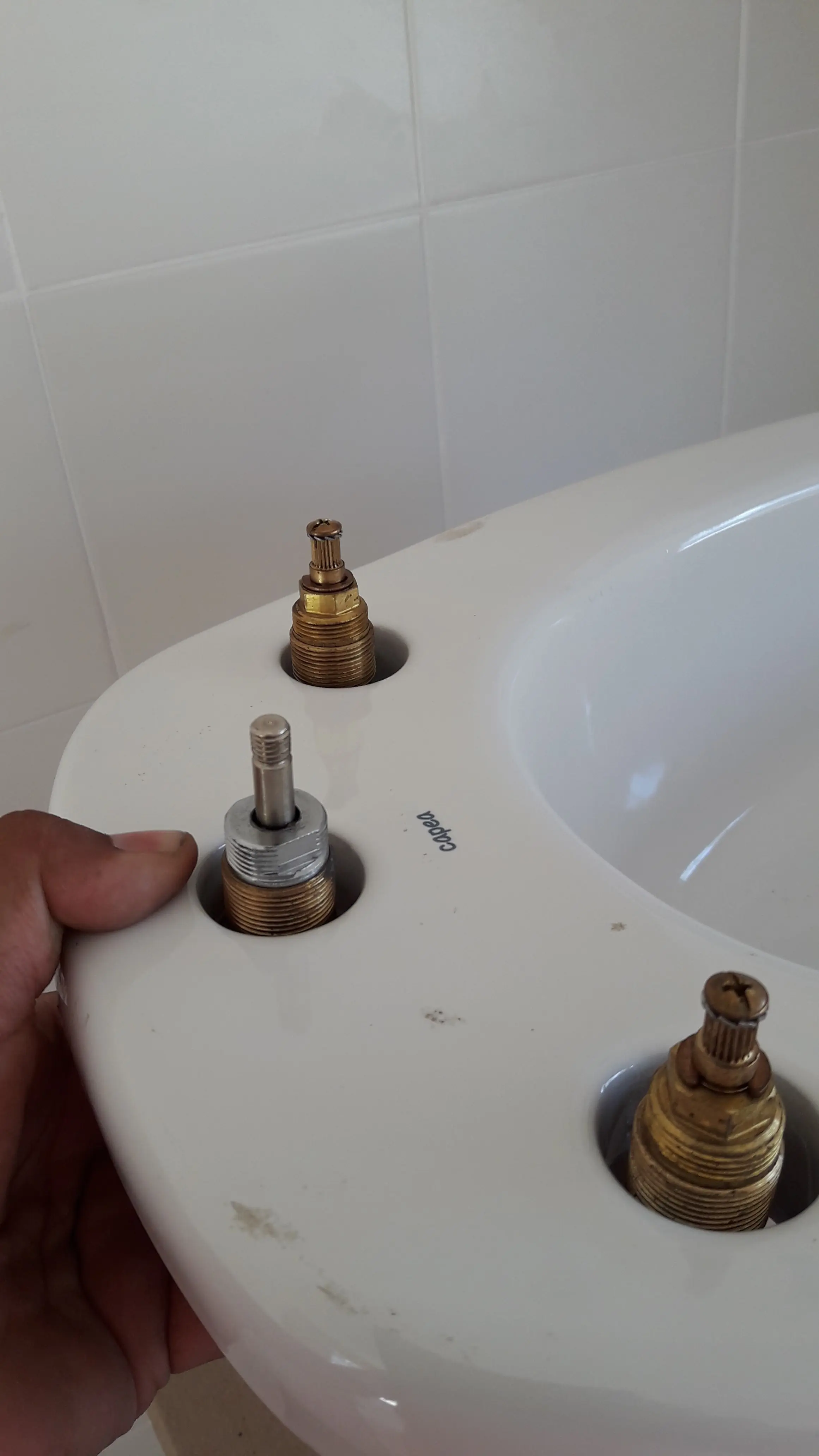 bidet bidet