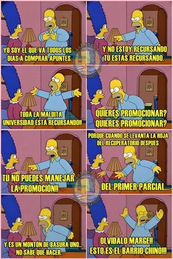 Los simpsons y la universidad