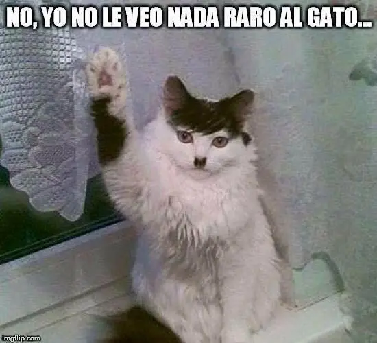 imagenes