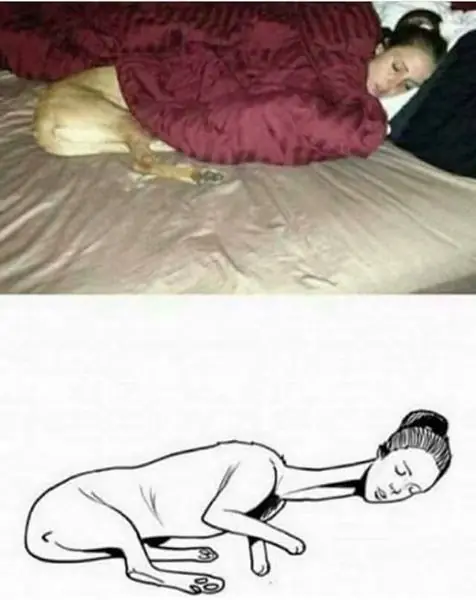 humor