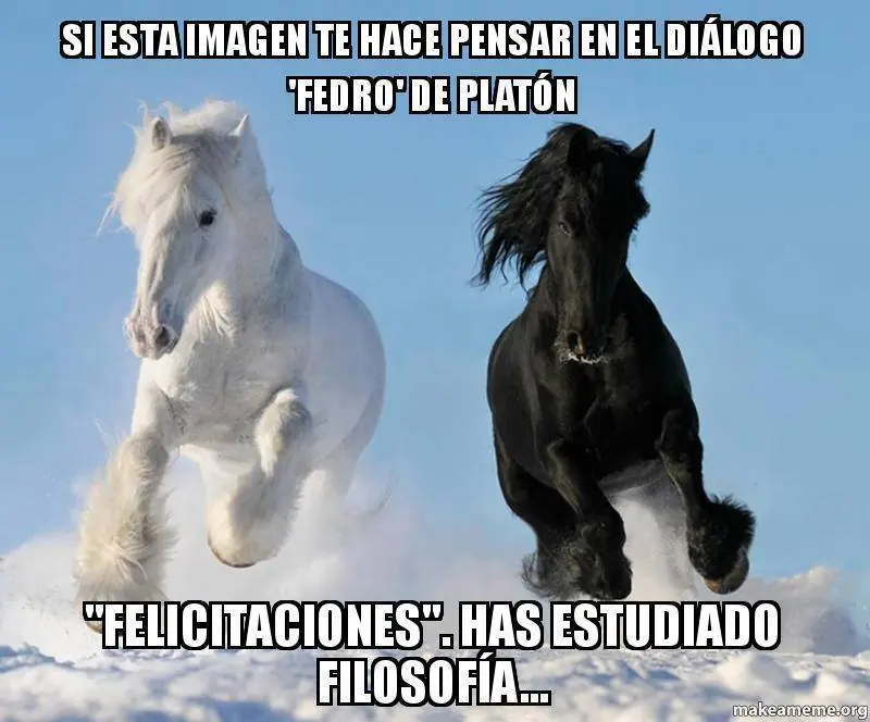 humor