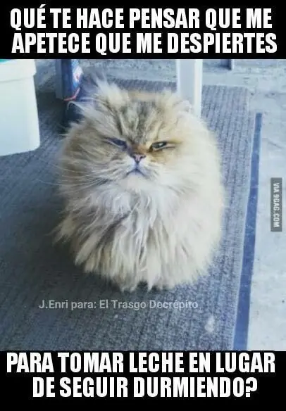 sabado