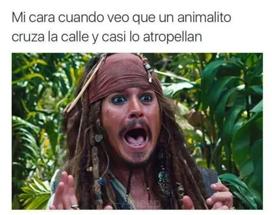 por la tarde