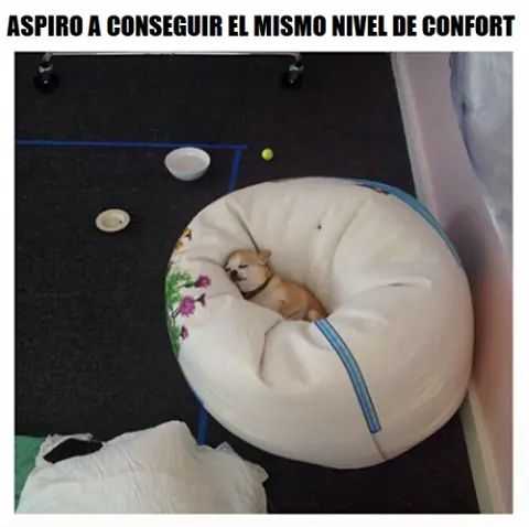 estas