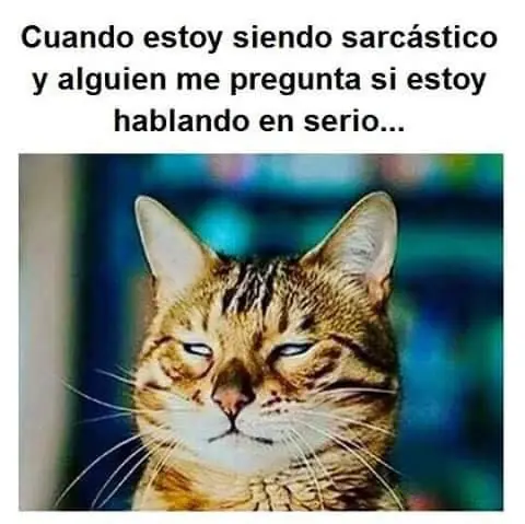 fotografias