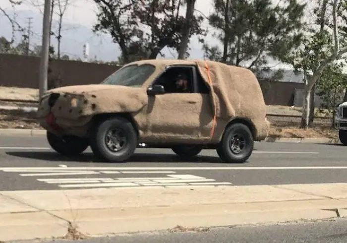 Fotos re locas que tenes que ver. Parte 186