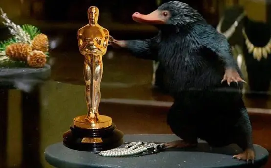 la la land la la land