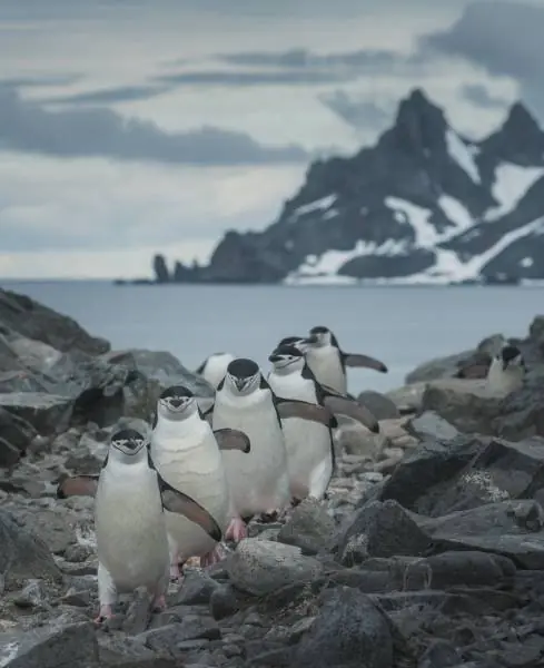 Fotos re locas que tenes que ver. Parte 186