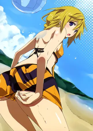 bikini