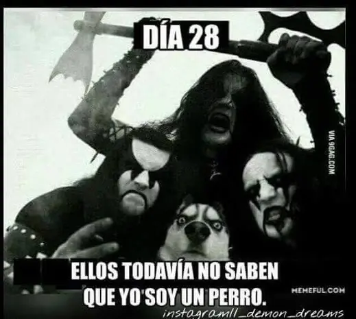 humor