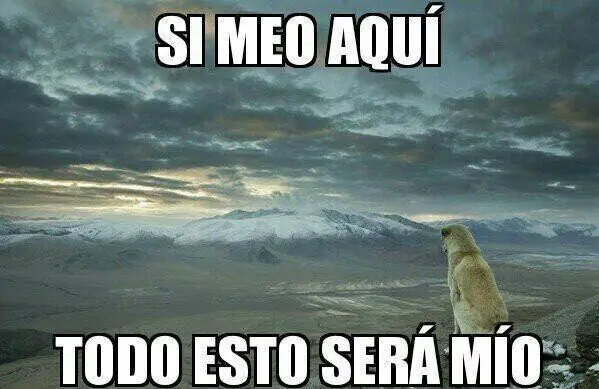 Imagenes de Humor para un sabado por la tarde