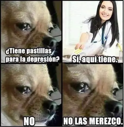 risa
