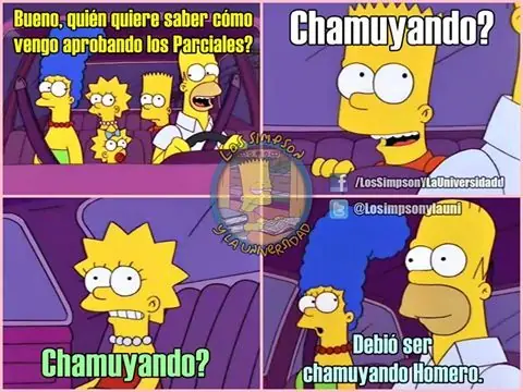 Los simpsons y la universidad