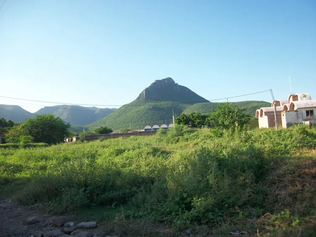 sinaloa