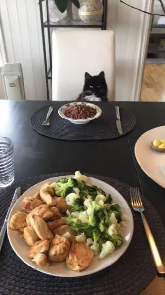 Fotos re locas que tenes que ver. Parte 186